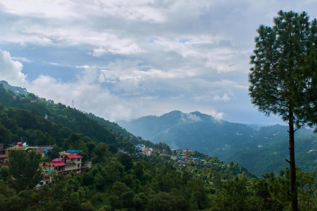 Sunrise View Homestay Kasauli Luaran gambar